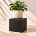 Black square plant stand supporting an ivory ribbed pot with a leafy green plant against a warm off-white wall.