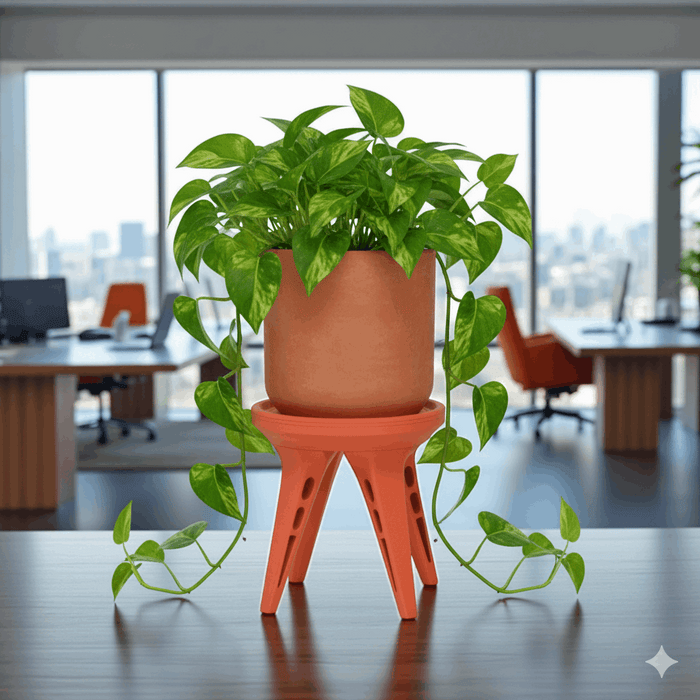 Plant Stand "AeroFour" – 3D Printed Pot Riser with Modern Sculptural Legs
