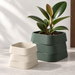 Design visualization of a Forest Green three-tier planter with a rubber plant, beside a smaller empty Cream White planter at the front-left on a pale gray surface.