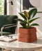 Design visualization of a Terracotta three-tier planter with a rubber plant as the focal point on a pale stone side table, with a book and reading glasses beside it and a green lounge chair softly visible behind.