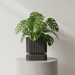 3D Printed “Stripes” Planter – Ribbed with Geometric Base, Custom Two-Tone or Solid Color Design