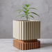 3D Printed “Stripes” Planter – Ribbed with Geometric Base, Custom Two-Tone or Solid Color Design