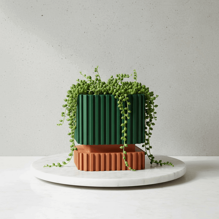3D Printed “Stripes” Planter – Ribbed with Geometric Base, Custom Two-Tone or Solid Color Design