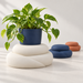 Cream White Talvo plant stand with a navy planter; smaller stands show example sizes and colors.