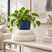 Cream White Talvo stand displaying a navy planter on an indoor console.
