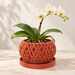 Tavero lattice orchid planter with white orchid on a warm neutral indoor surface