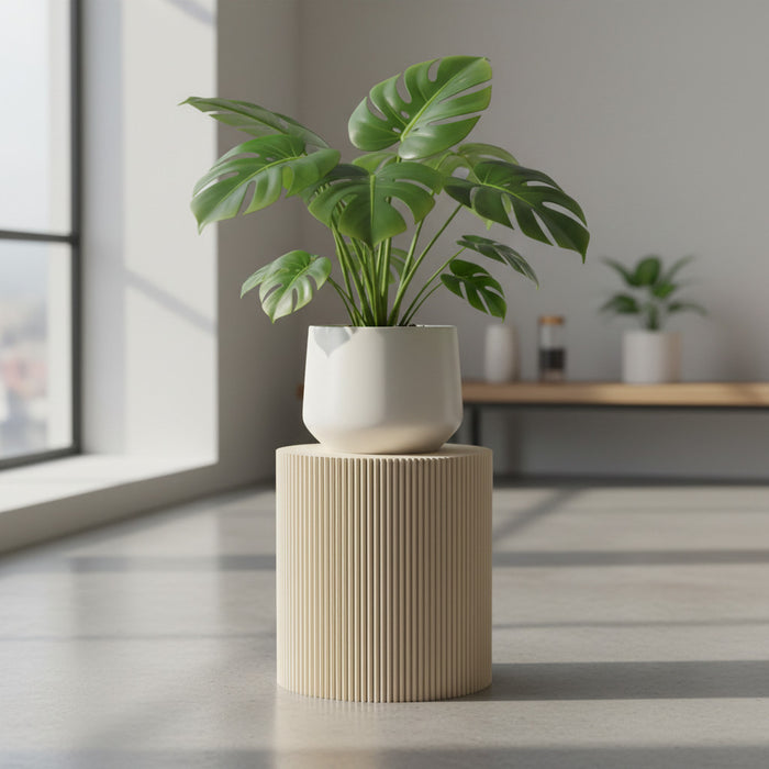 Pedestal Plant Stand, Wide Plant Riser "Tero"