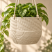 Cream Tessaro hanging planter with a matching drainage saucer, variegated foliage and raised woven, diagonal, dotted and crackle-textured panels.