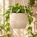 Tessaro hanging self-watering planter with a textured body and matching water reservoir.