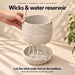 Product detail of the Tessaro hanging planter with a wick-fed self-watering system.