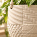 Detail view from the Tessaro hanging self-watering planter product guide.