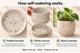 Tessaro hanging planter self-watering system, detailed product view.