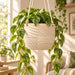 Tessaro hanging self-watering planter with reservoir and wicks, product reference.