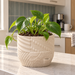 Tessaro self-watering planter with woven, dotted and crackle textures on a kitchen countertop.