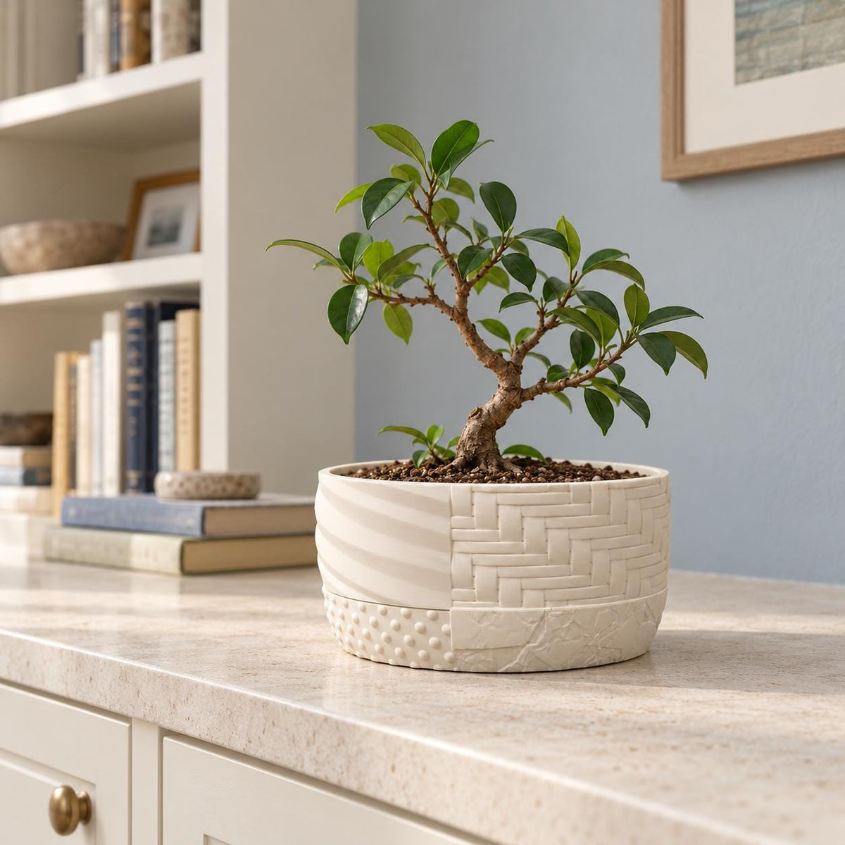 Detail from the Tessaro bonsai planter gallery, showing the shallow cream pot design.