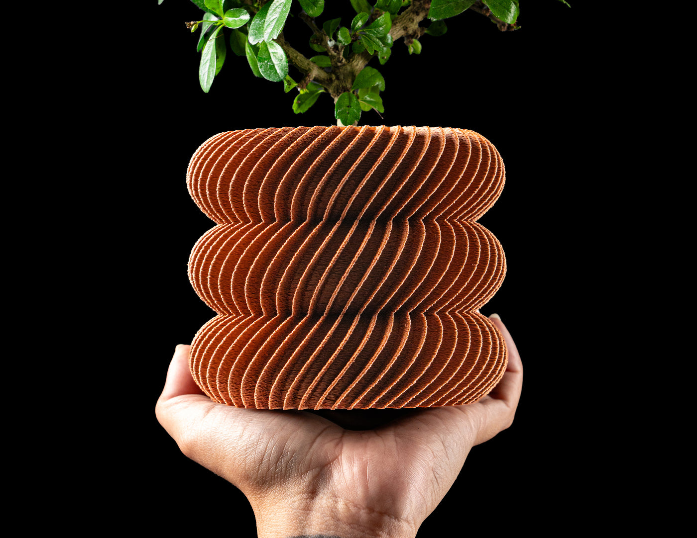 Toren sculptural spiral ribbed planter with plant, front view