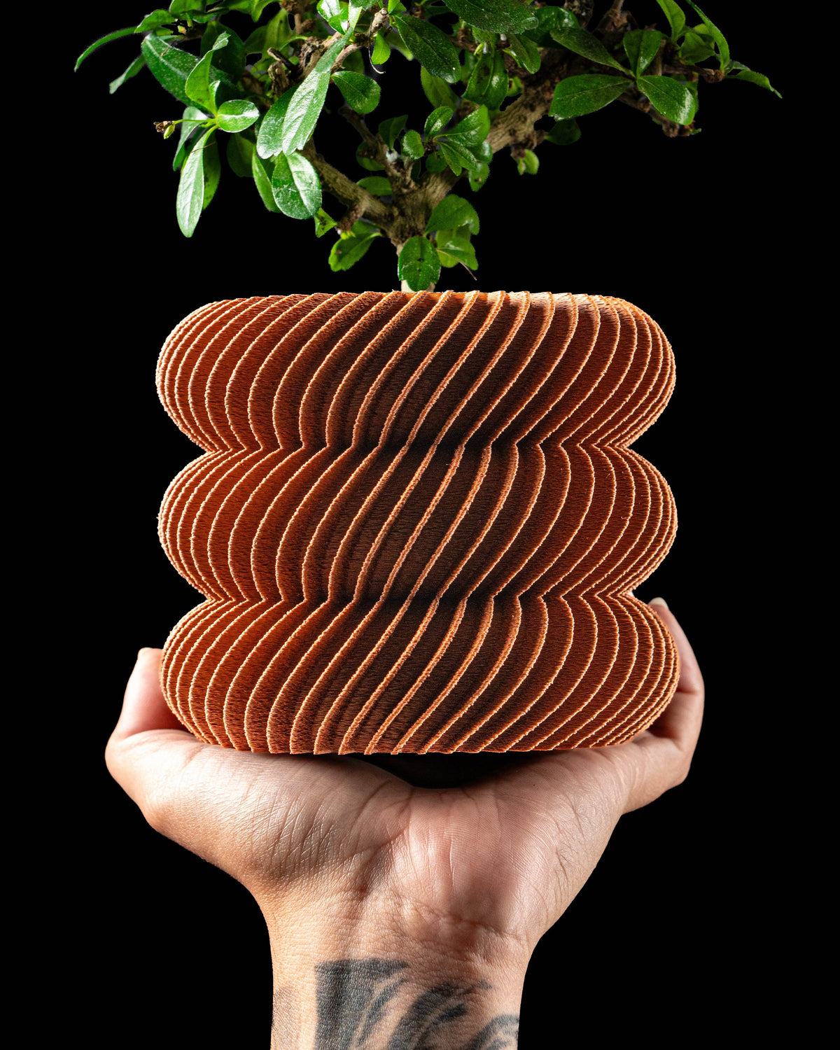 Toren spiral ribbed LUX planter with plant, handheld front view