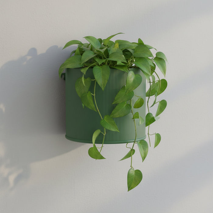 Modern Wall Planter “Tori” with Vertical Ribbed Texture