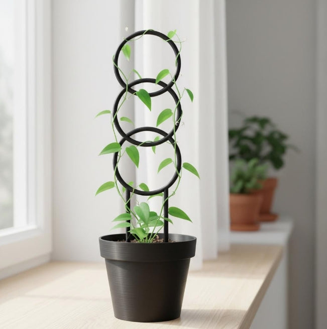Plant Trellis – 3D Printed Climbing Plant Support "Trio"