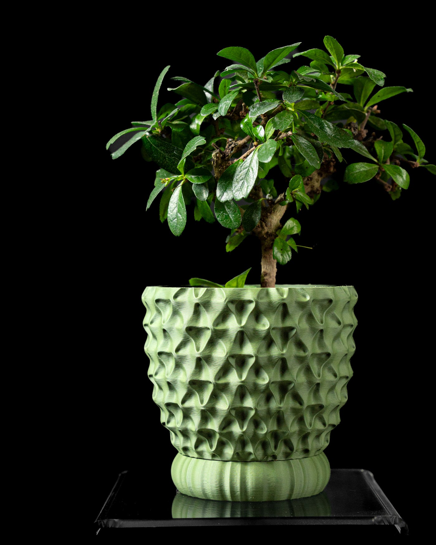 TriWave textured planter styled with an indoor plant