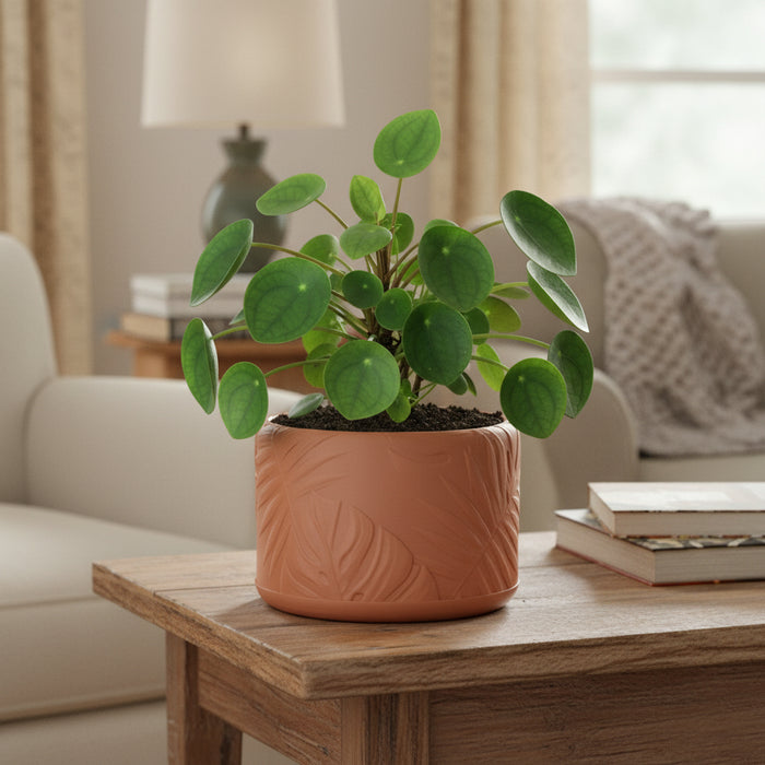 Planter Pot "Tropica" – 3D Printed Decorative Plant Pot with Drainage Options