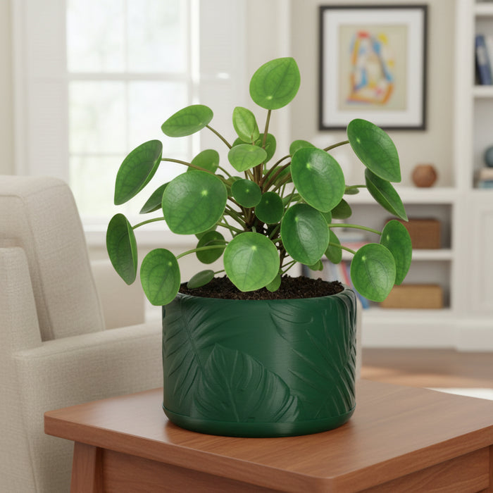 Planter Pot "Tropica" – 3D Printed Decorative Plant Pot with Drainage Options
