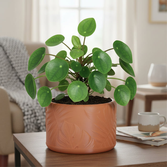 Planter Pot "Tropica" – 3D Printed Decorative Plant Pot with Drainage Options