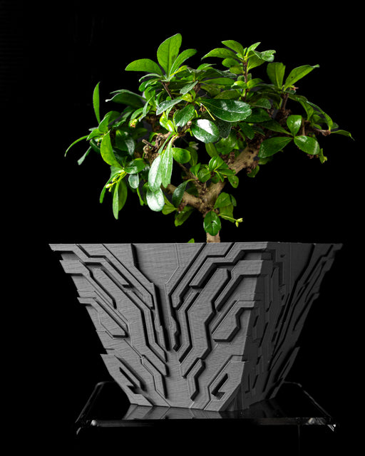 Uplink circuit texture indoor planter styled with a plant