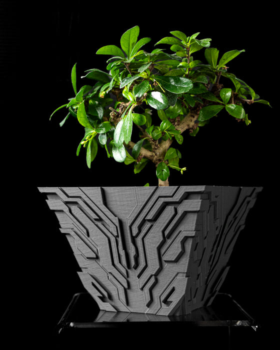 Uplink circuit texture indoor planter styled with a plant
