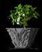 Uplink circuit texture indoor planter styled with a plant