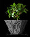 Uplink circuit texture indoor planter styled with a plant
