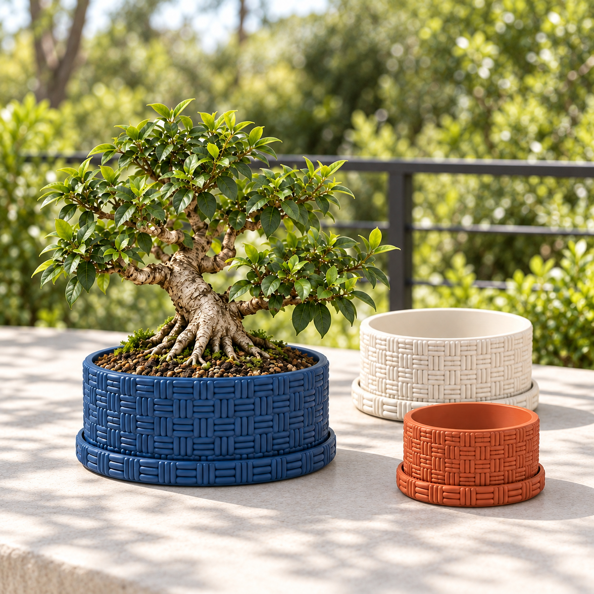 Three Vewo bonsai pot color and size options on an outdoor terrace, one planted and two empty; one planter per order