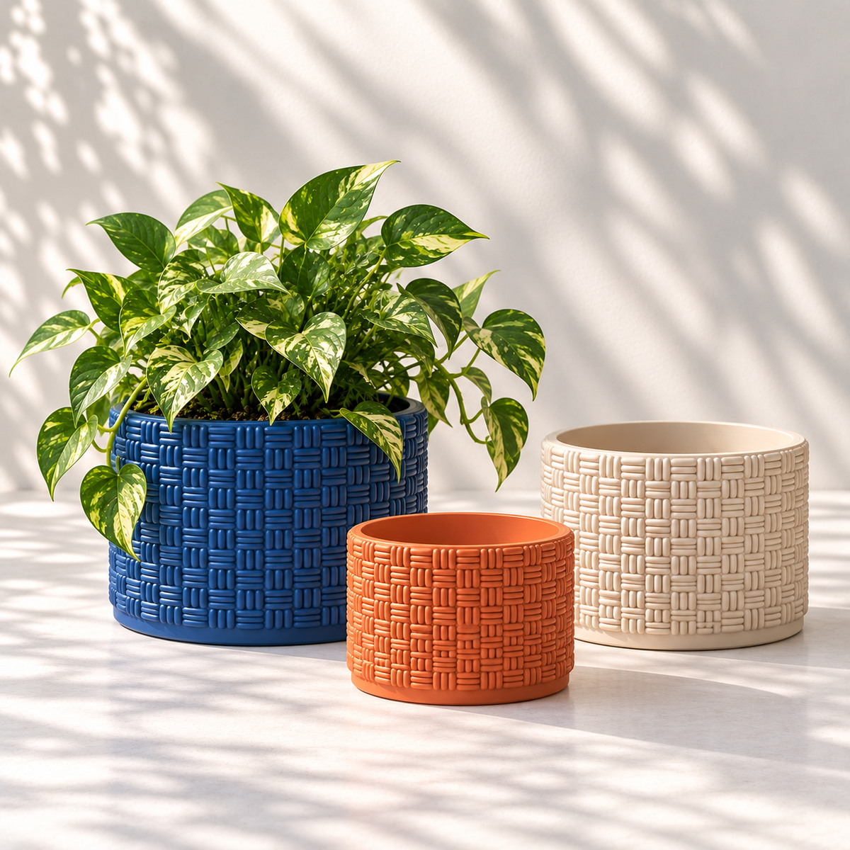 Three basketweave plant pots in navy blue, cream and terracotta, with a variegated pothos in the largest pot.