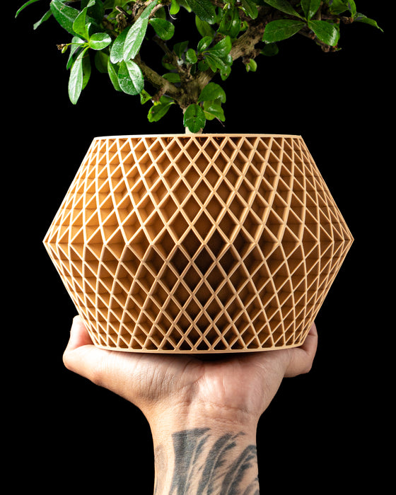 Veyra lattice indoor plant pot with plant, front product view