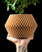 Veyra lattice indoor plant pot with plant, front product view