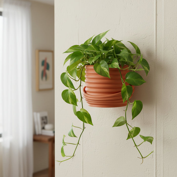 Wall Mounted Planter "Viren" with Optional Drainage, Modern Spiral Wall Plant Pot