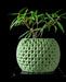 green bubble texture planter pot, unique planter design, flower pots, low planter pot, succulent pots, indoor planters, 3d printed planter, ornate flower pot, book plant pot, gifts for mom, planter pots unique, unique home decor, planter pot