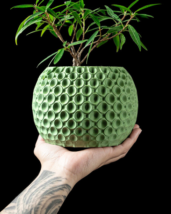 succulent plant in green 3d printed planter pot with bubble texture, flower pots, unique planter, planter pots unique, gifts for mom, indoor planters, 3d printed planter, pots and planters, low planter pot, planter pot, book plant pot, ornate flower pot, unique home decor