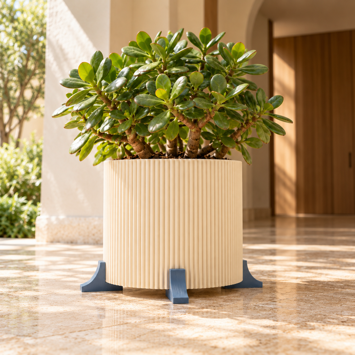 Cream fluted planter with a jade plant on blue-grey Canto plant pot risers in a sunlit entryway.