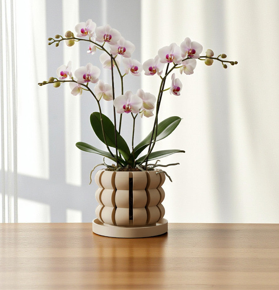 Lami layered open slats ventilated orchid pot, front view