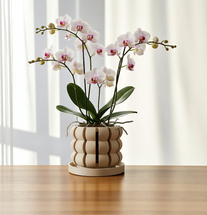 Orchid Pot "Lami" eco-friendly, drainage |  color & size options