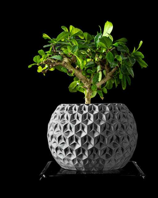 3d printed planter pot with geometric surface, textured diamond-like pattern, and matte black finish, shown with bonsai tree, suitable for indoor planters, unique planter pot design, great for gifts for mom and book plant pot displays, ideal for low planter pot arrangements and ornate flower pot lovers, perfect for unique home decor and succulent pots