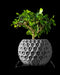 3d printed planter pot with geometric surface, textured diamond-like pattern, and matte black finish, shown with bonsai tree, suitable for indoor planters, unique planter pot design, great for gifts for mom and book plant pot displays, ideal for low planter pot arrangements and ornate flower pot lovers, perfect for unique home decor and succulent pots