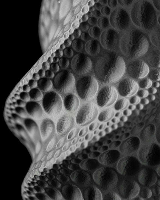 flower vase in black with pronounced crater textures and narrow waist, modern vase designed for dried flowers and dramatic floral displays, black personalized vase featuring crater motif and bold contours, 3d printed vase with smooth crater impressions on cylindrical form, aesthetic vase for home decor and office styling, sculptural moon vase in deep black finish, vases for flowers or decorative compositions, black vase with high-impact surface texture, personalized home accent for artistic interiors, uniqu