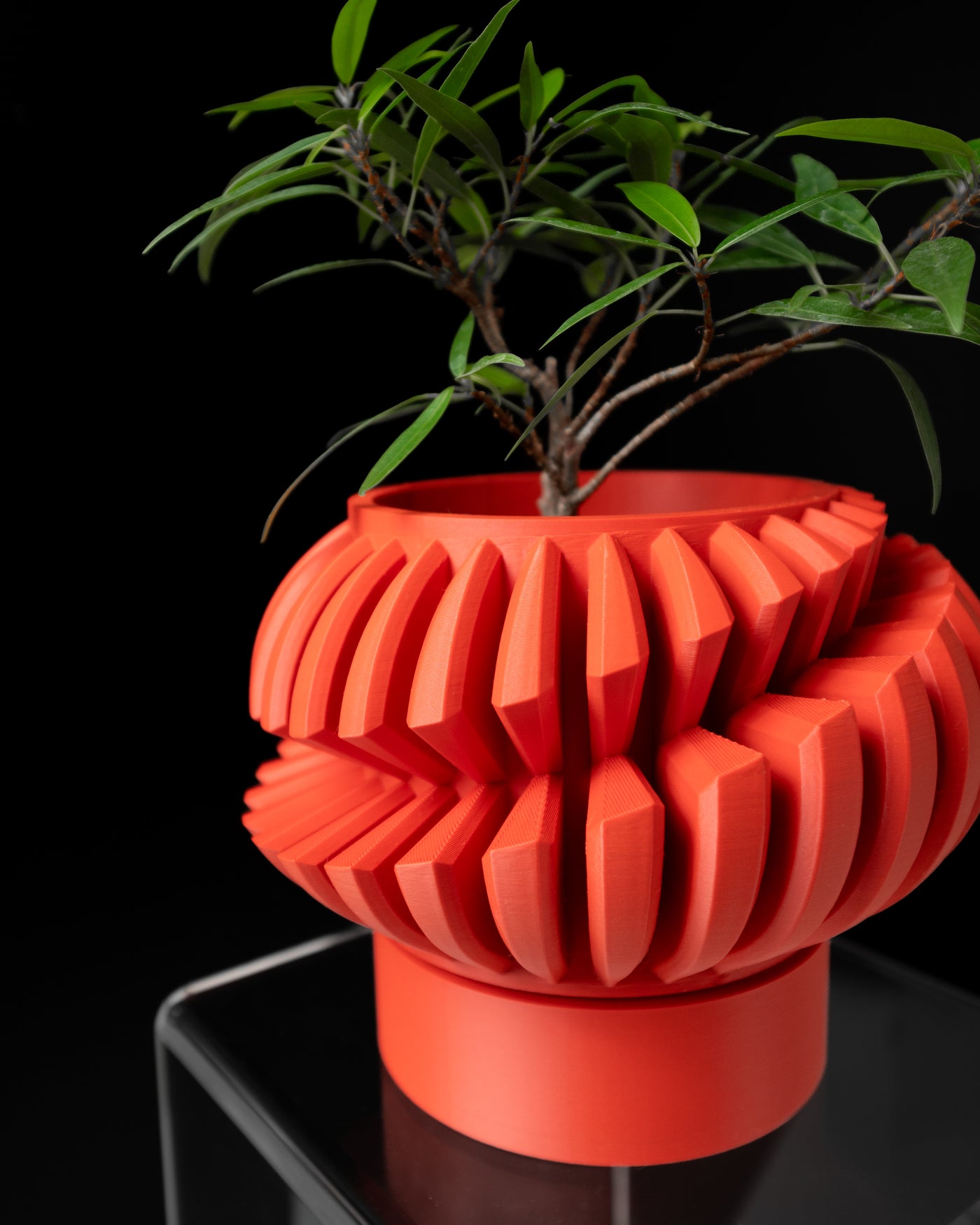 Luxira spiral indoor planter, product view 1