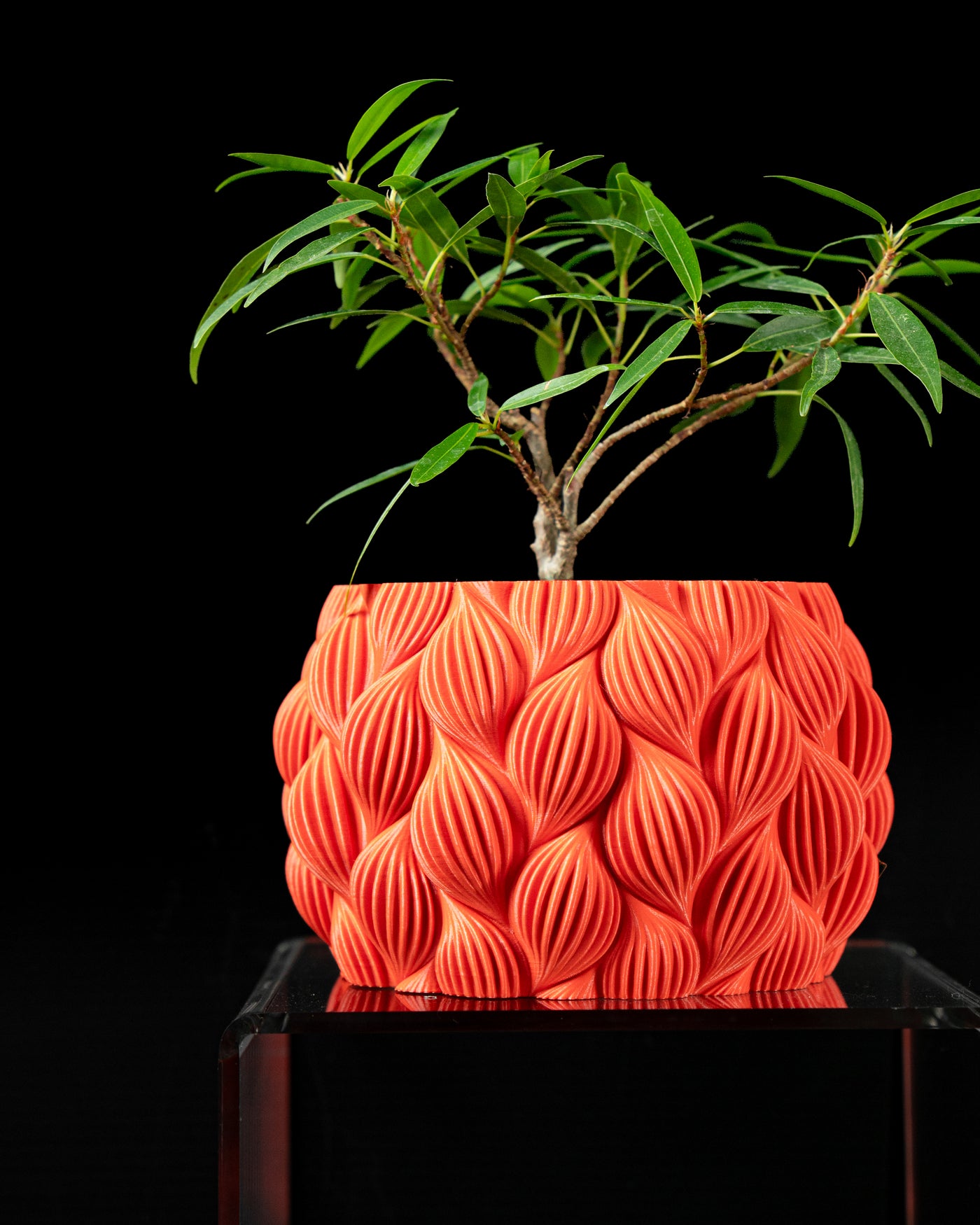 Ripple botanical texture indoor planter, product view 1
