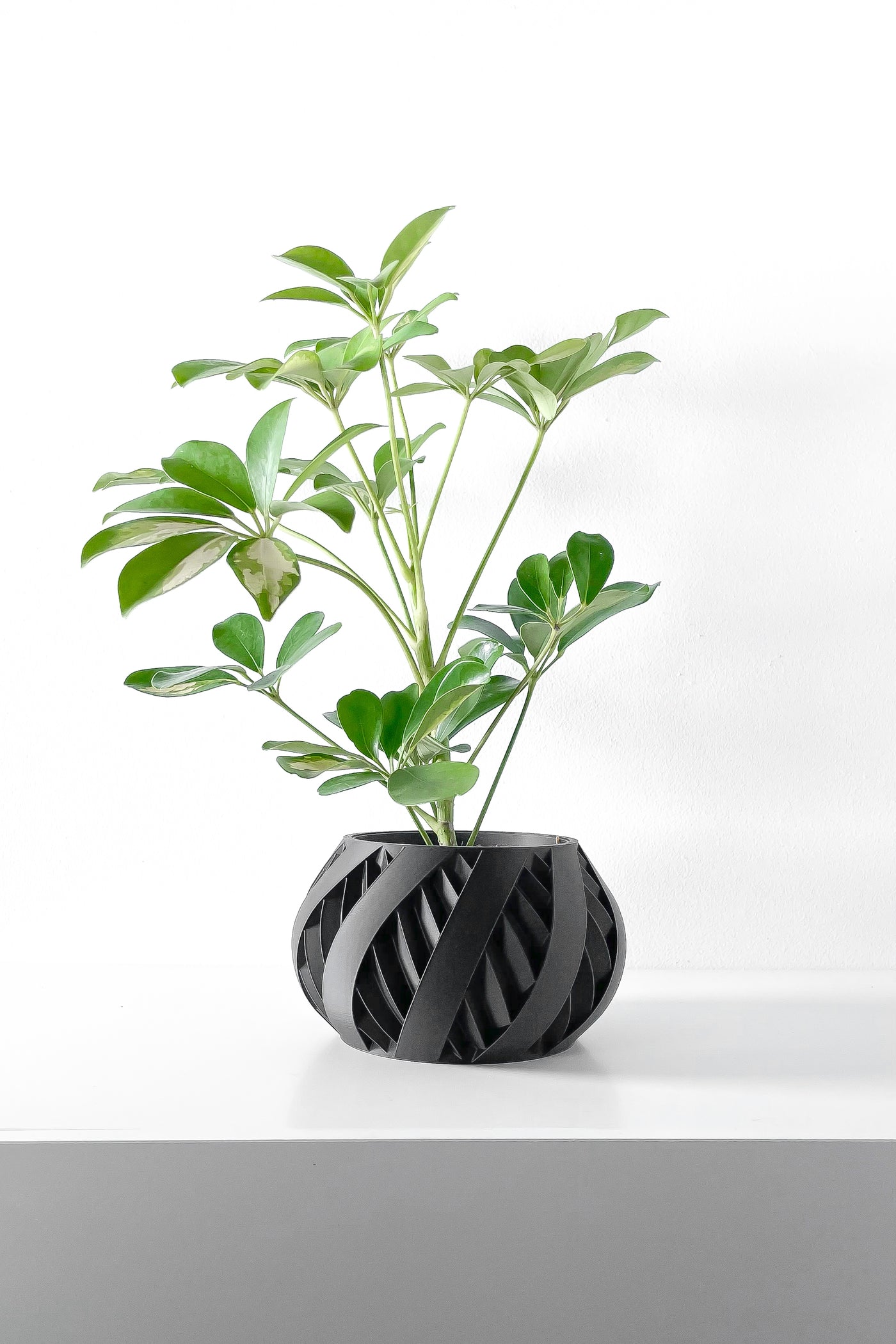 Silvo spiral indoor planter, product view 3