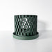 Dark green 3D printed orchid planter with tray, sculptural airflow pot for small orchids, ideal for minimalist indoor decor.