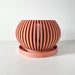 Peach-colored 3D printed orchid pot with a stylish ribbed design, ideal for modern home decor. This unique planter features a drainage hole and tray, making it perfect for orchids and other indoor plants that require proper drainage.