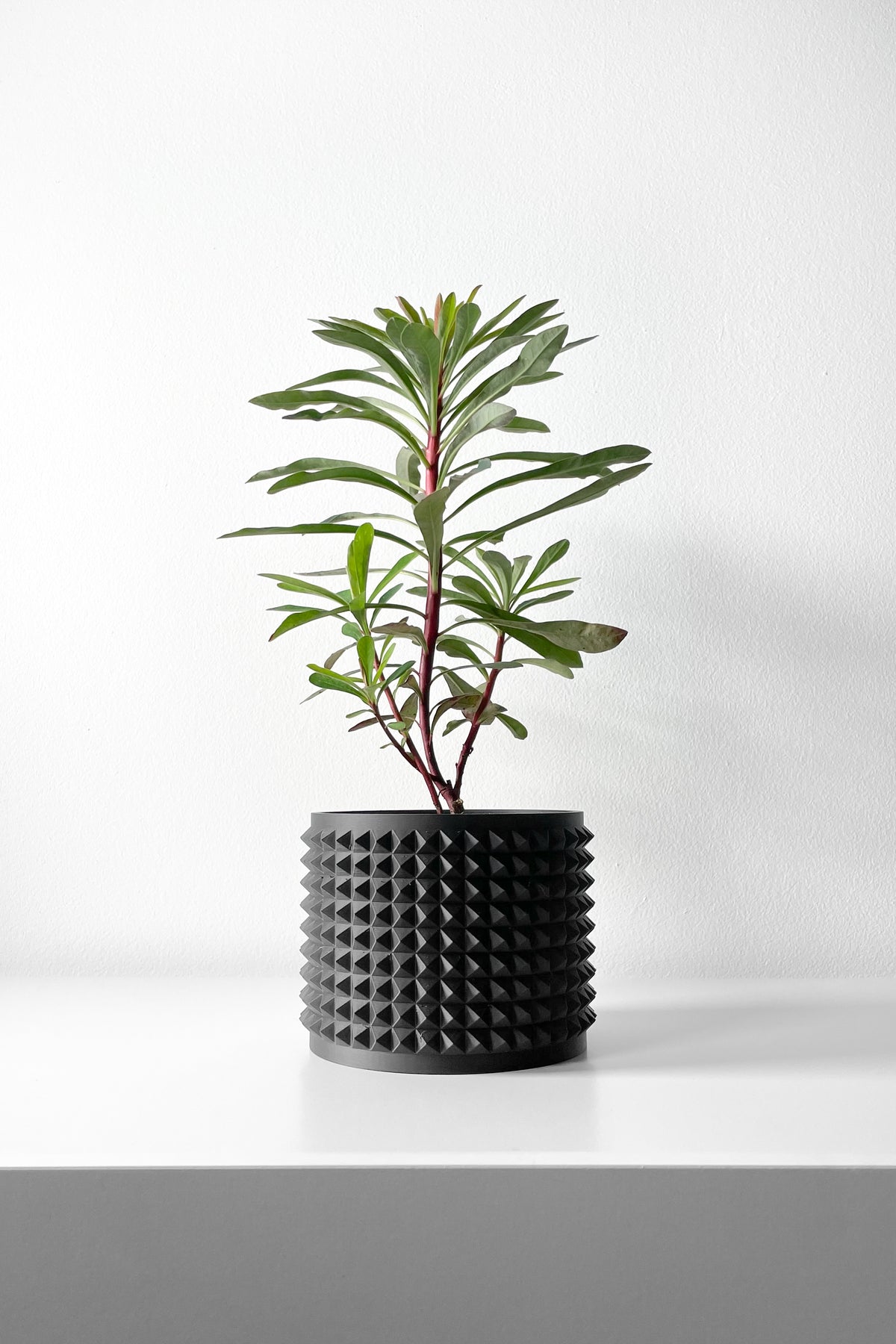 Anver spiked texture indoor planter, product view 1